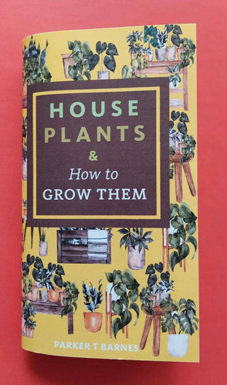Houseplants & How to Grow Them Zine