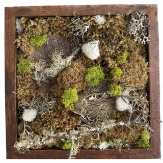Preserved Moss Art