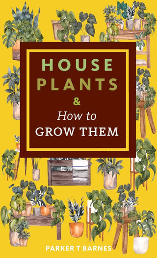 Houseplants & How to Grow Them Zine